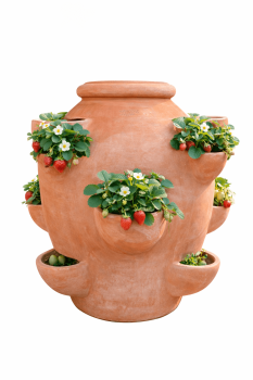 Preview: Klassischer Terracotta Krug mit Taschen aus Impruneta - Fragoliera